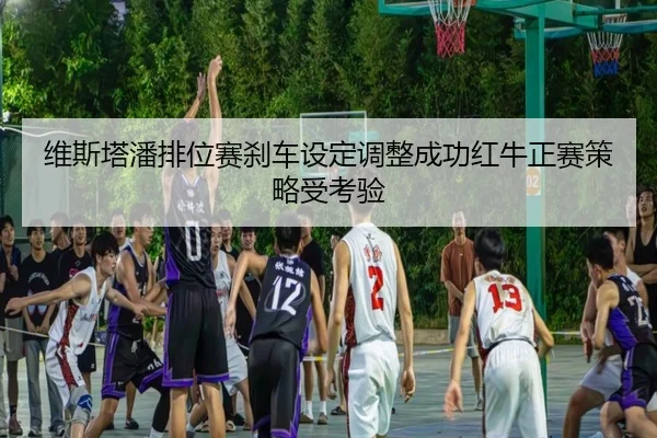 维斯塔潘排位赛刹车设定调整成功红牛正赛策略受考验